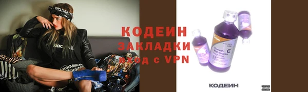 герыч Мегион
