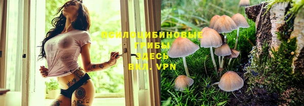 хмурый Медногорск
