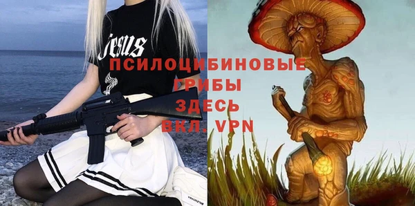 МДМА Медвежьегорск