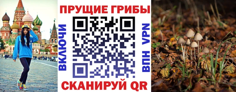 Псилоцибиновые грибы MAGIC MUSHROOMS  наркотики  Нефтекумск 