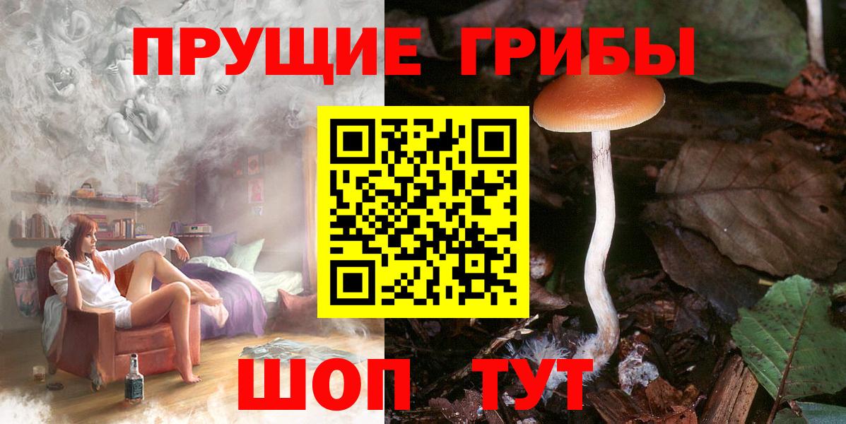 Галлюциногенные грибы GOLDEN TEACHER  Вход с VPN  Нефтекумск 