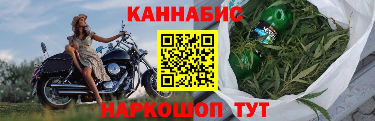Каннабис OG Kush Нефтекумск